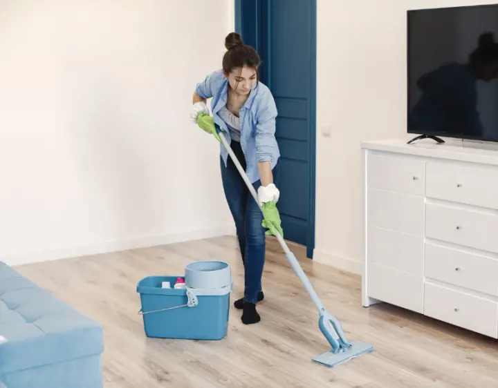 Femme de ménage La Roche-Vineuse